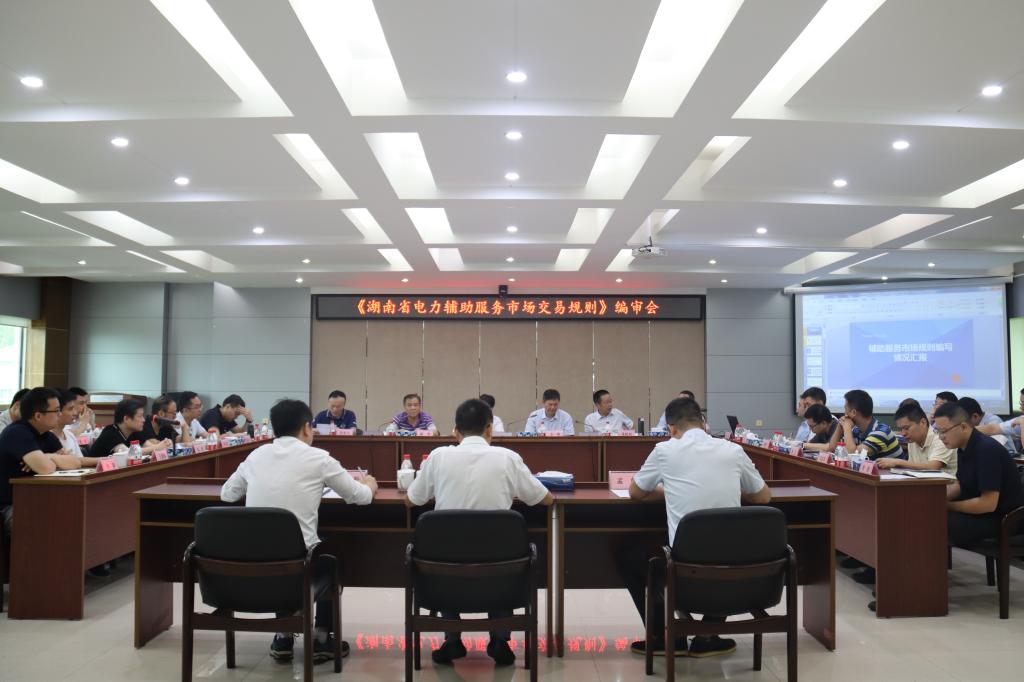 《湖南省电力辅助服务市场交易规则》编审会在株洲航电分华体买球召开